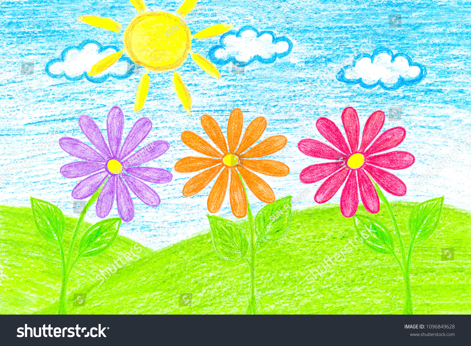 Colorful Flowers Field Pencils Drawing Authors Stock Illustration