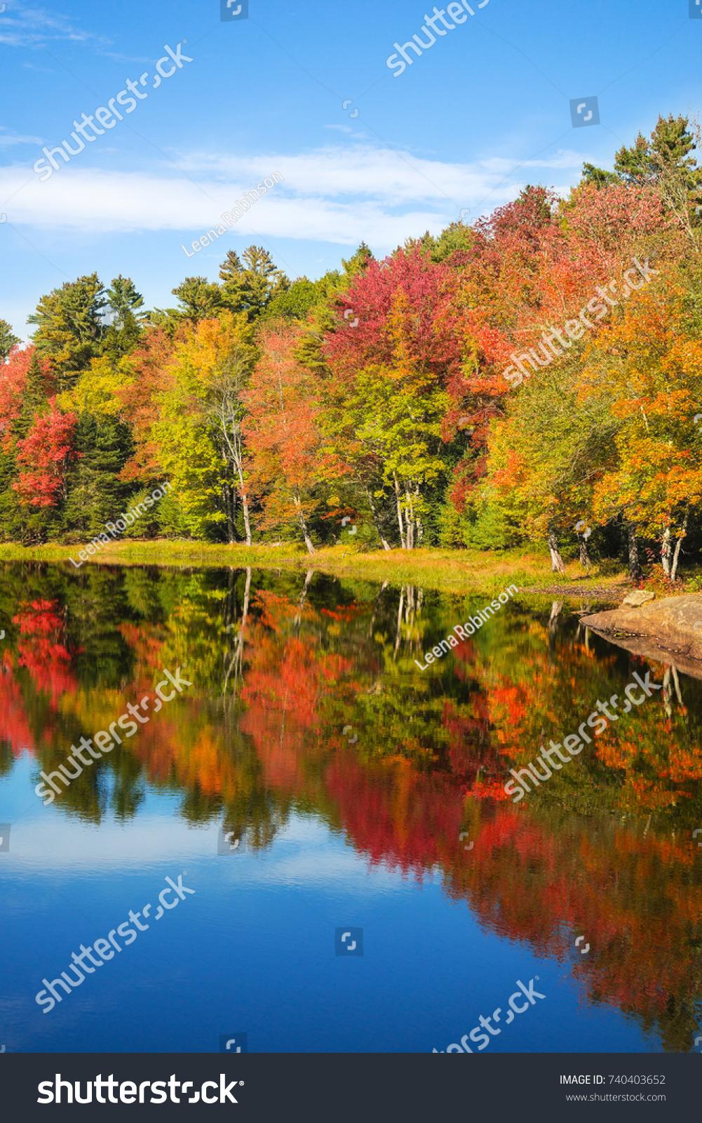 1,322 Coastal fall foliage Images, Stock Photos & Vectors | Shutterstock