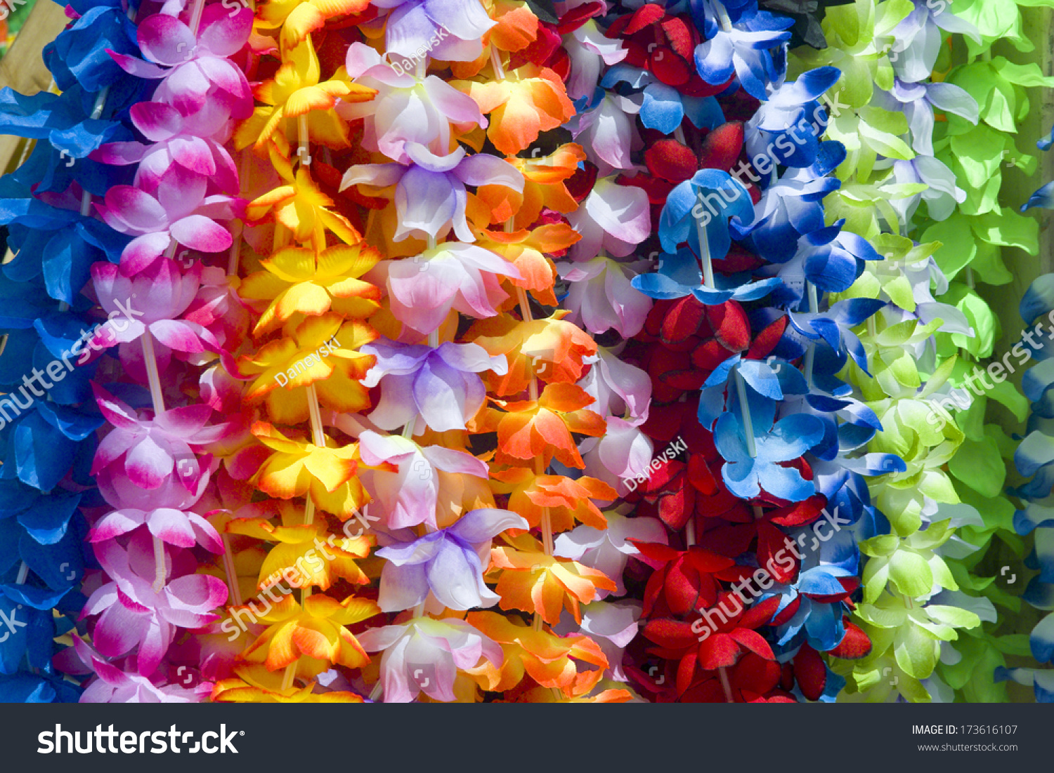 Colorful Hawaiian Lei Flowers Stock Photo 173616107 : Shutterstock