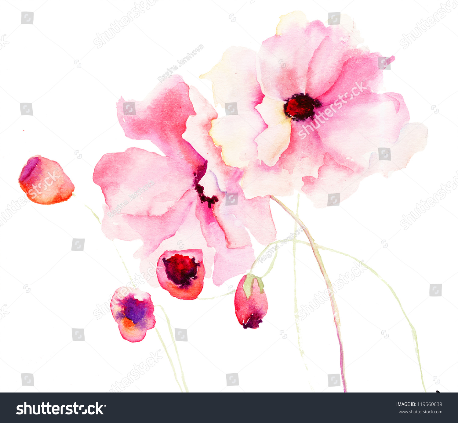 Colorful Pink Flowers, Watercolor Illustration - 119560639 : Shutterstock