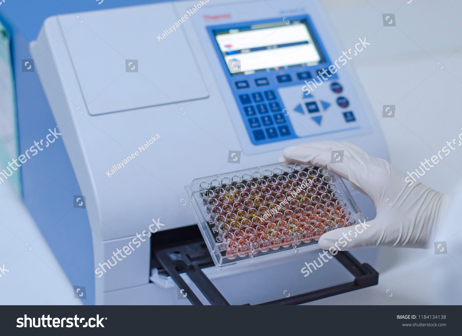 Colorimetric Determination By Using Microplate Reader Stock Photo (Edit