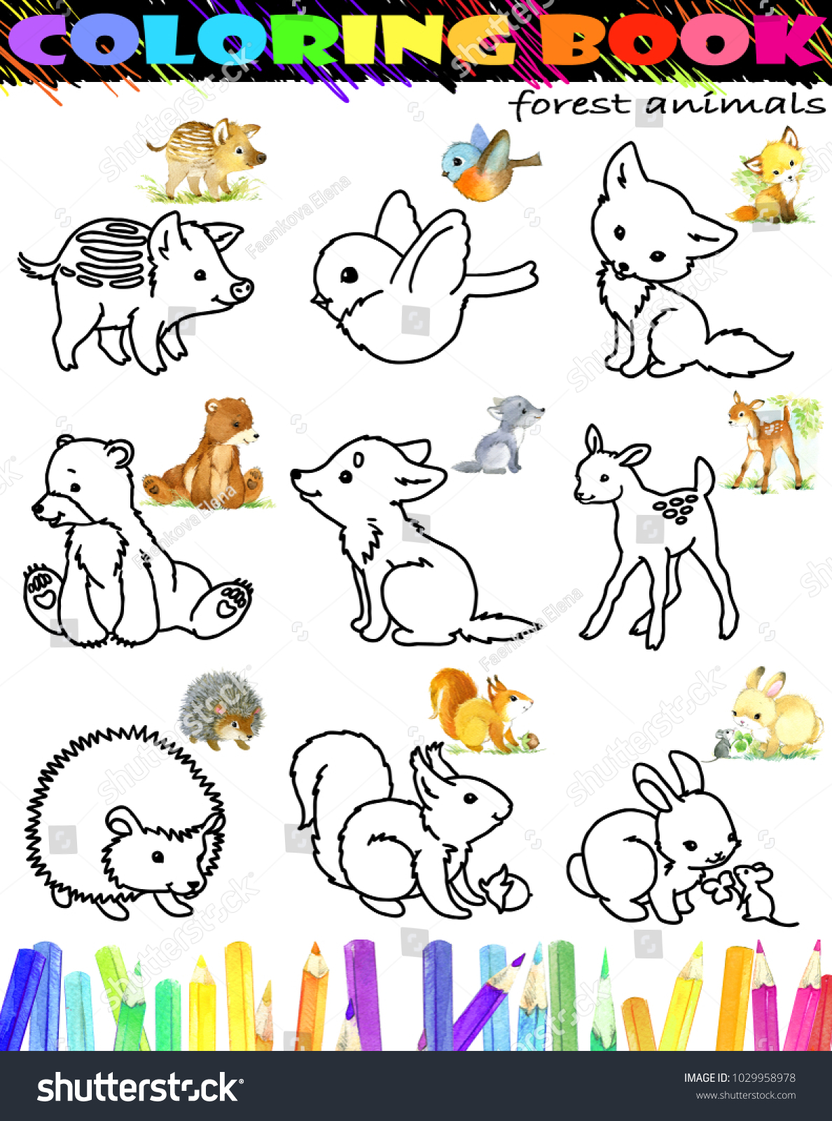 Download Coloring Book Forest Animal Set Cartoon Stock Illustration 1029958978