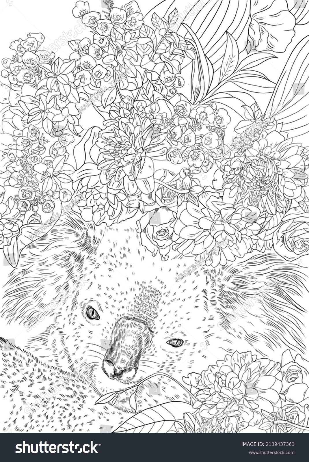 Coloring Book Illustration Outline Natural World Stock Illustration ...