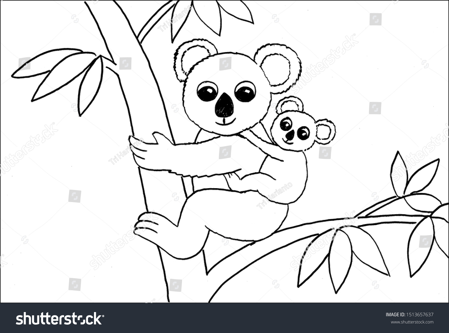 koalas coloring pages free coloring pages