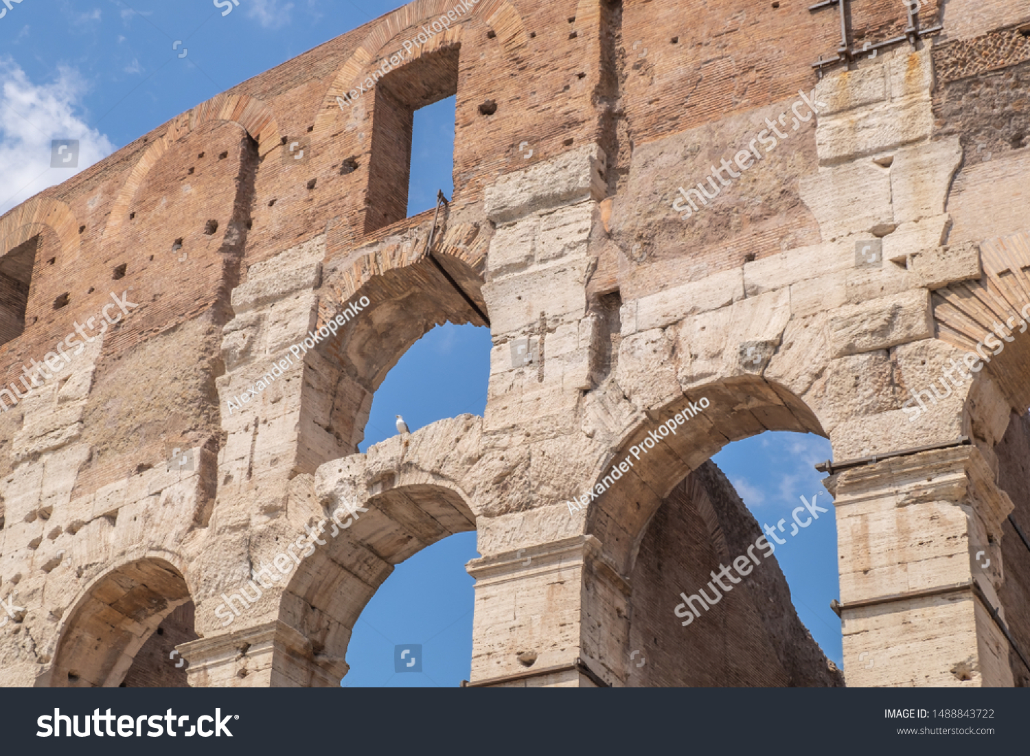 Colosseum Rome Largest Amphitheatre World Stock Photo 1488843722