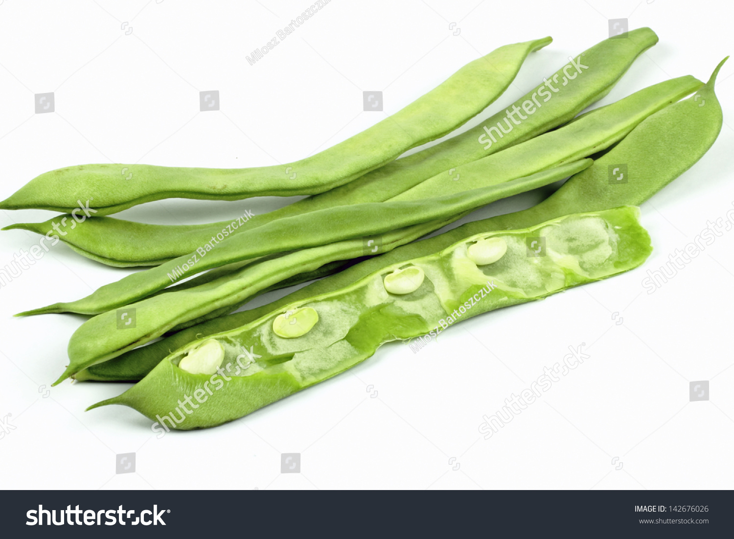 Common Bean Stock Photo 142676026 : Shutterstock