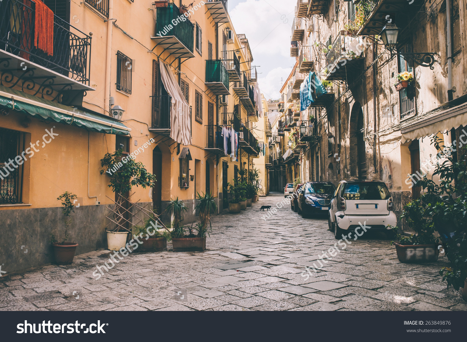 Common Street Palermo Sicily Italy Stock Photo (Edit Now) 263849876 ...