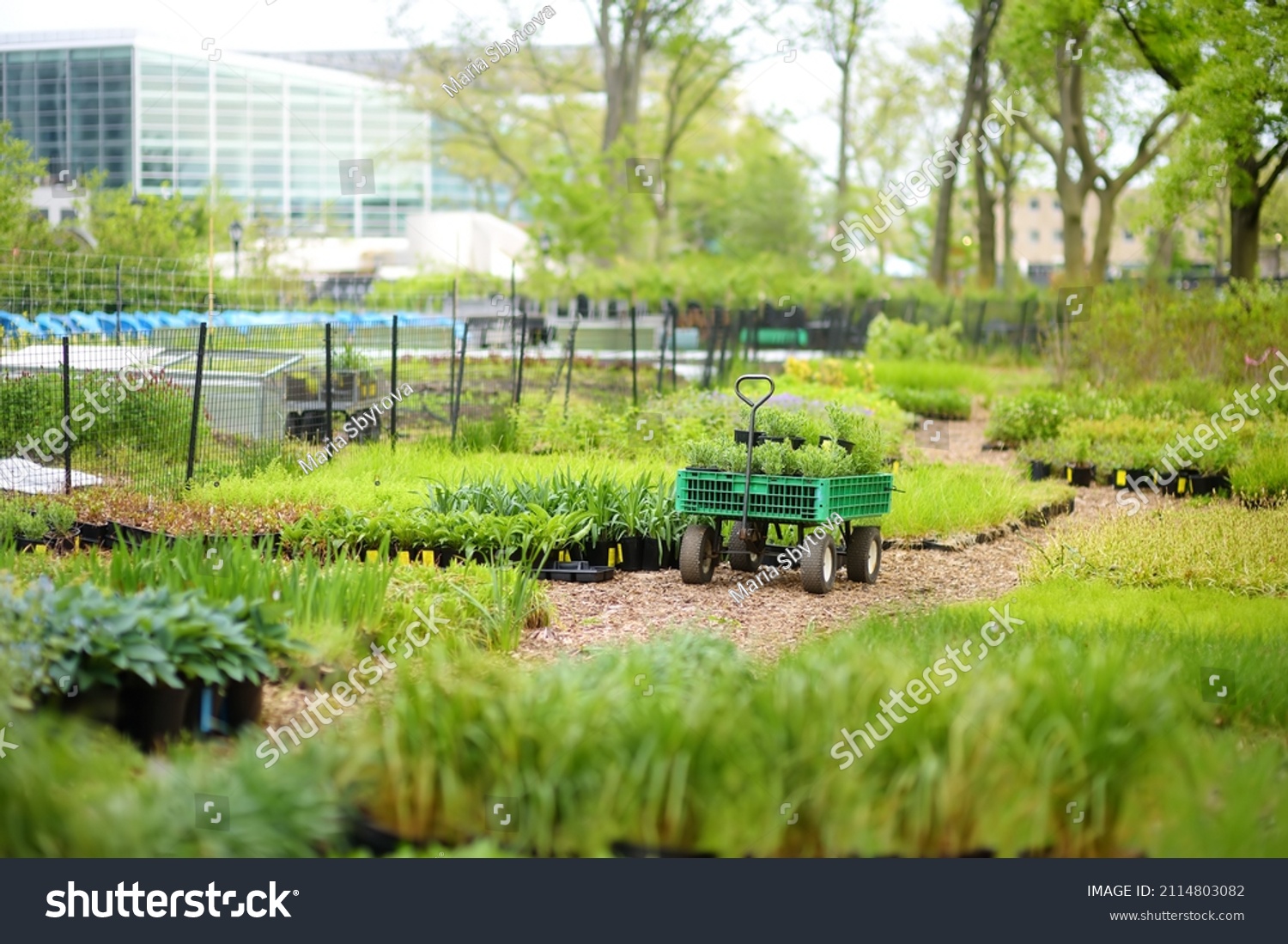 7,716 Community Food Growing Images, Stock Photos & Vectors | Shutterstock