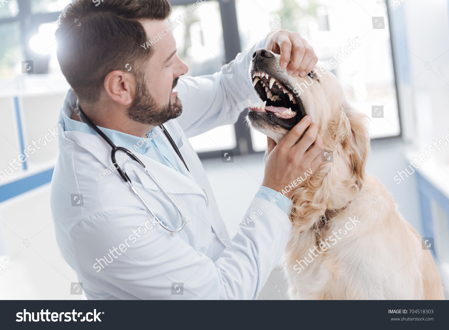 4,748 Dog teeth vet 이미지, 스톡 사진 및 벡터 Shutterstock