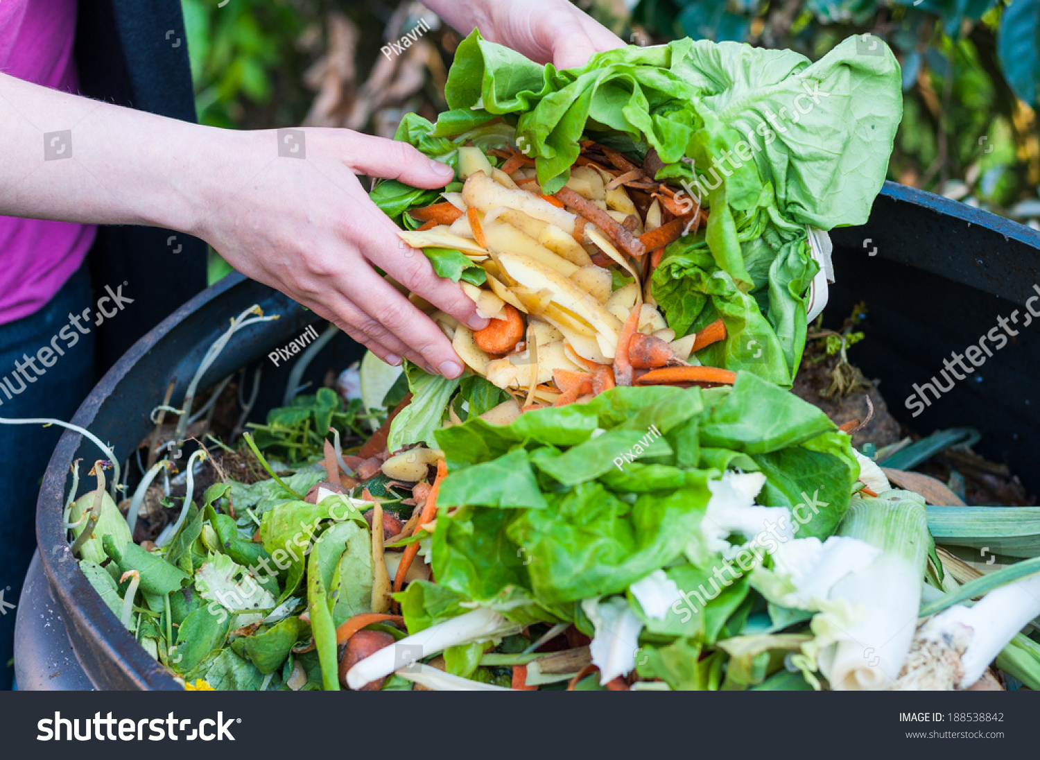 Composting Kitchen Waste Stock Photo 188538842 Shutterstock