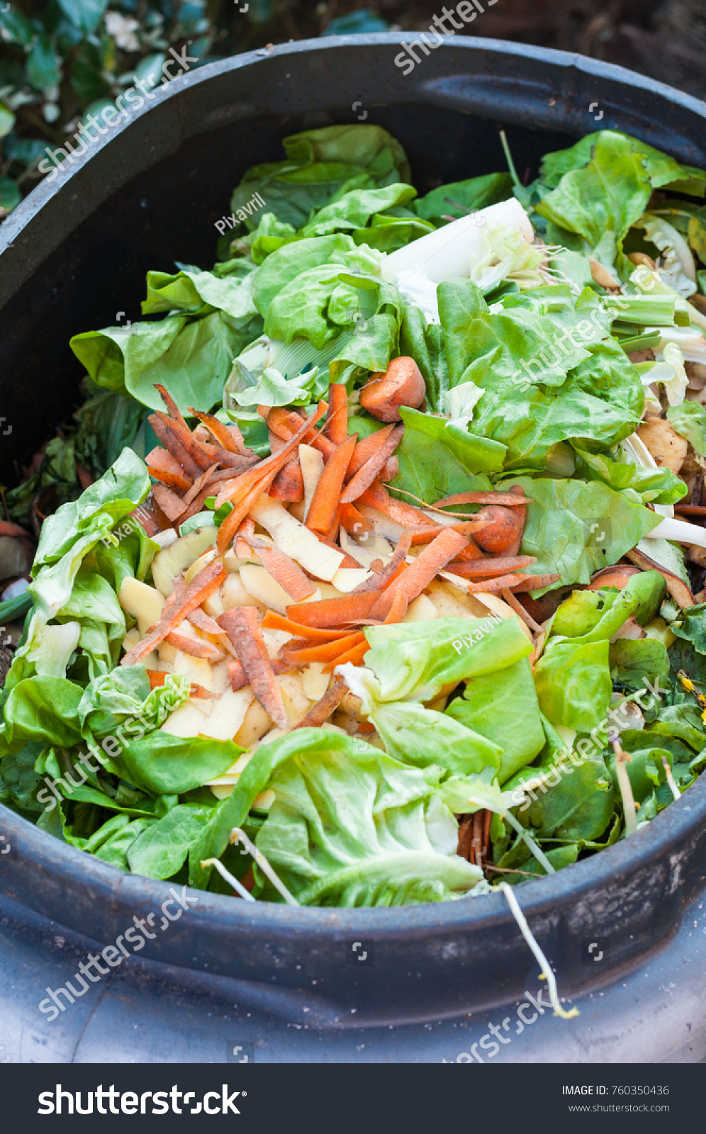 Composting Kitchen Waste Stock Photo 760350436 Shutterstock