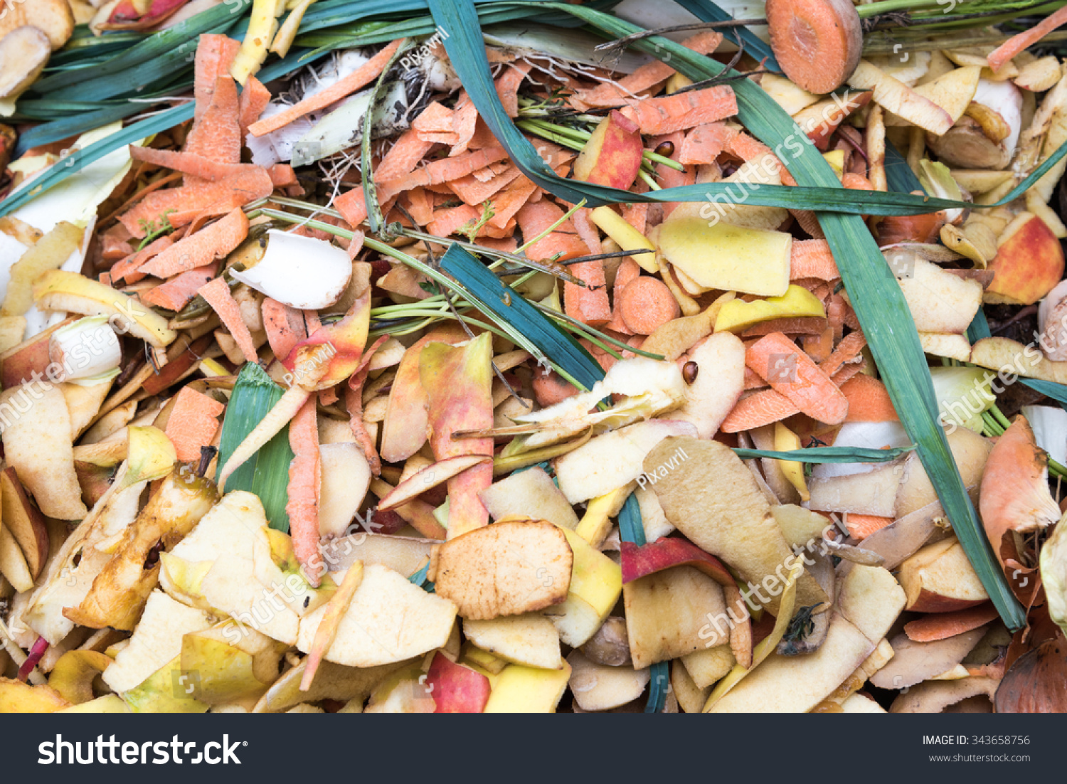 Composting Kitchen Waste Plastic Compost Bin Stock Photo 343658756