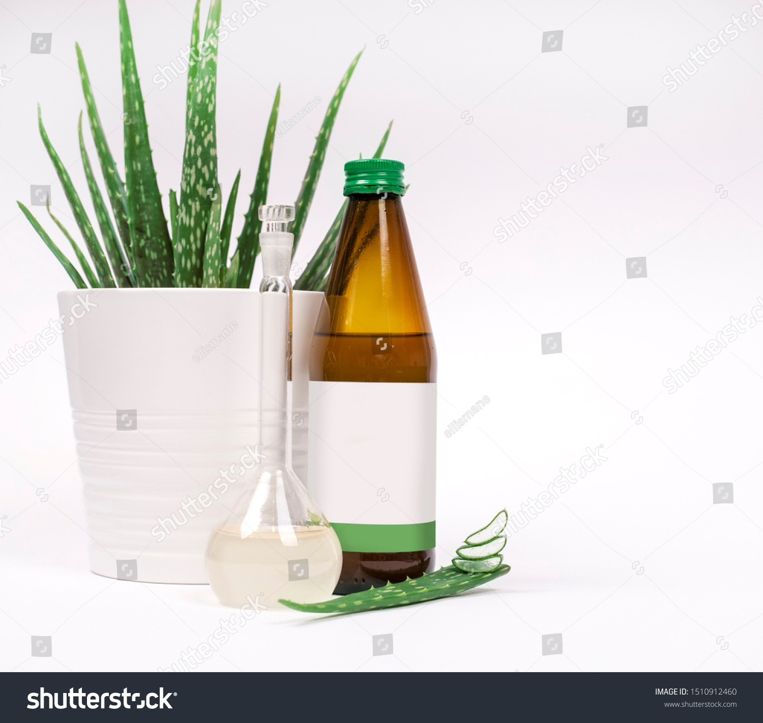 Concept Photography Still Life Fresh Vivid Stock Photo Edit Now