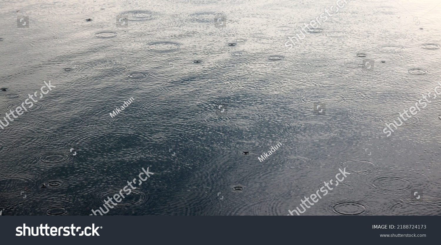  Dark Gray Classic  Template Design Featuring Conceptual Abstract Water Waves