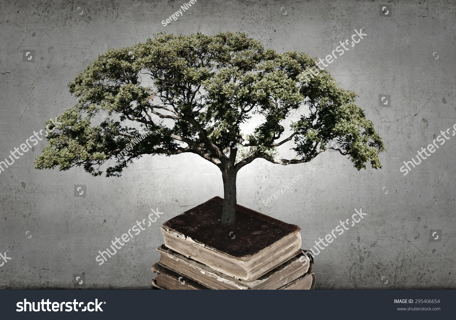 Conceptual Image Green Tree Growing Book Stock Photo 295406654