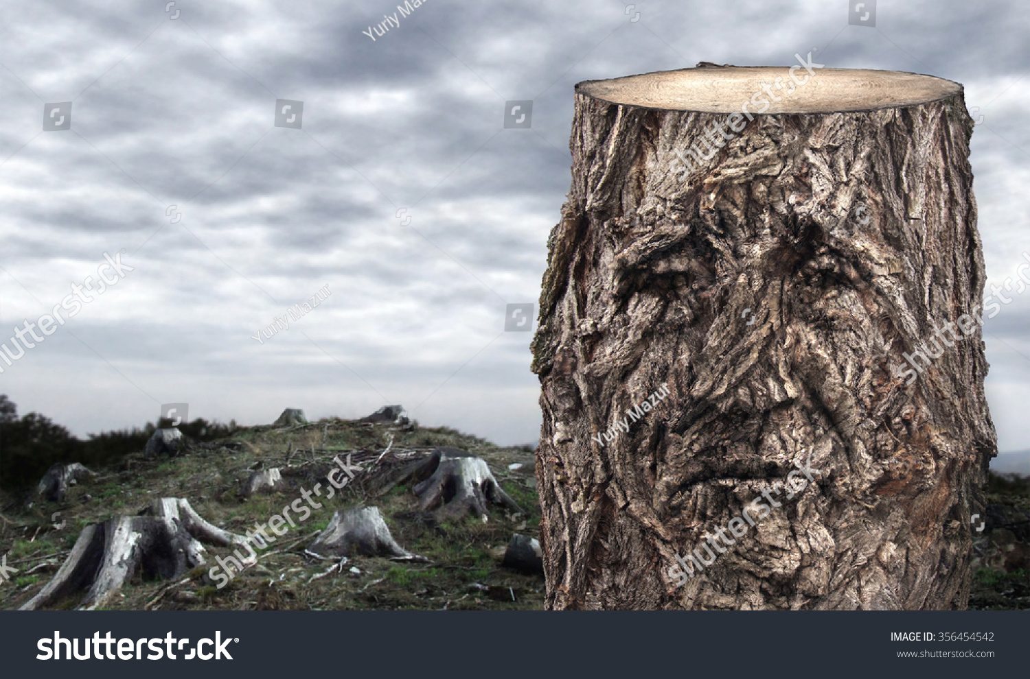 Conceptual Picture Tree Stump Shape Very Stock Photo (Edit Now) 356454542