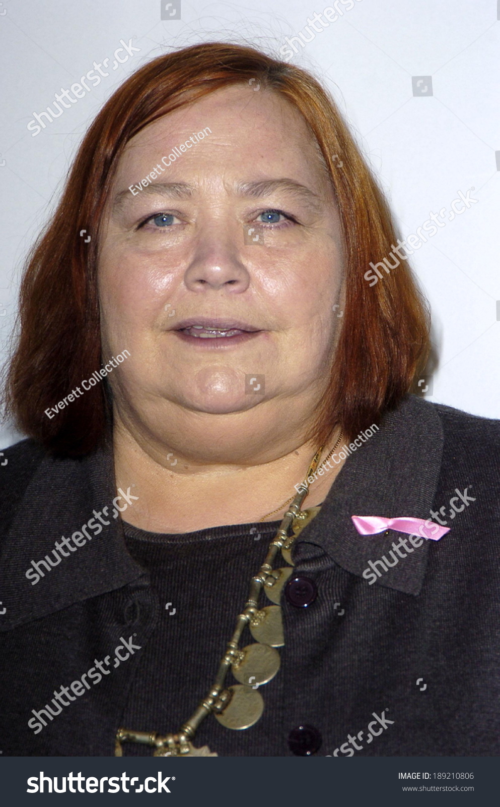 Hilary Van Dyke,Kat Germain Adult photo Monica Buck,Alessia Marcuzzi (born 1972) Ray Winstone (born 1957),Cozi Zuehlsdorff Sex gallery Hilary Rhoda,Riona Hazuki