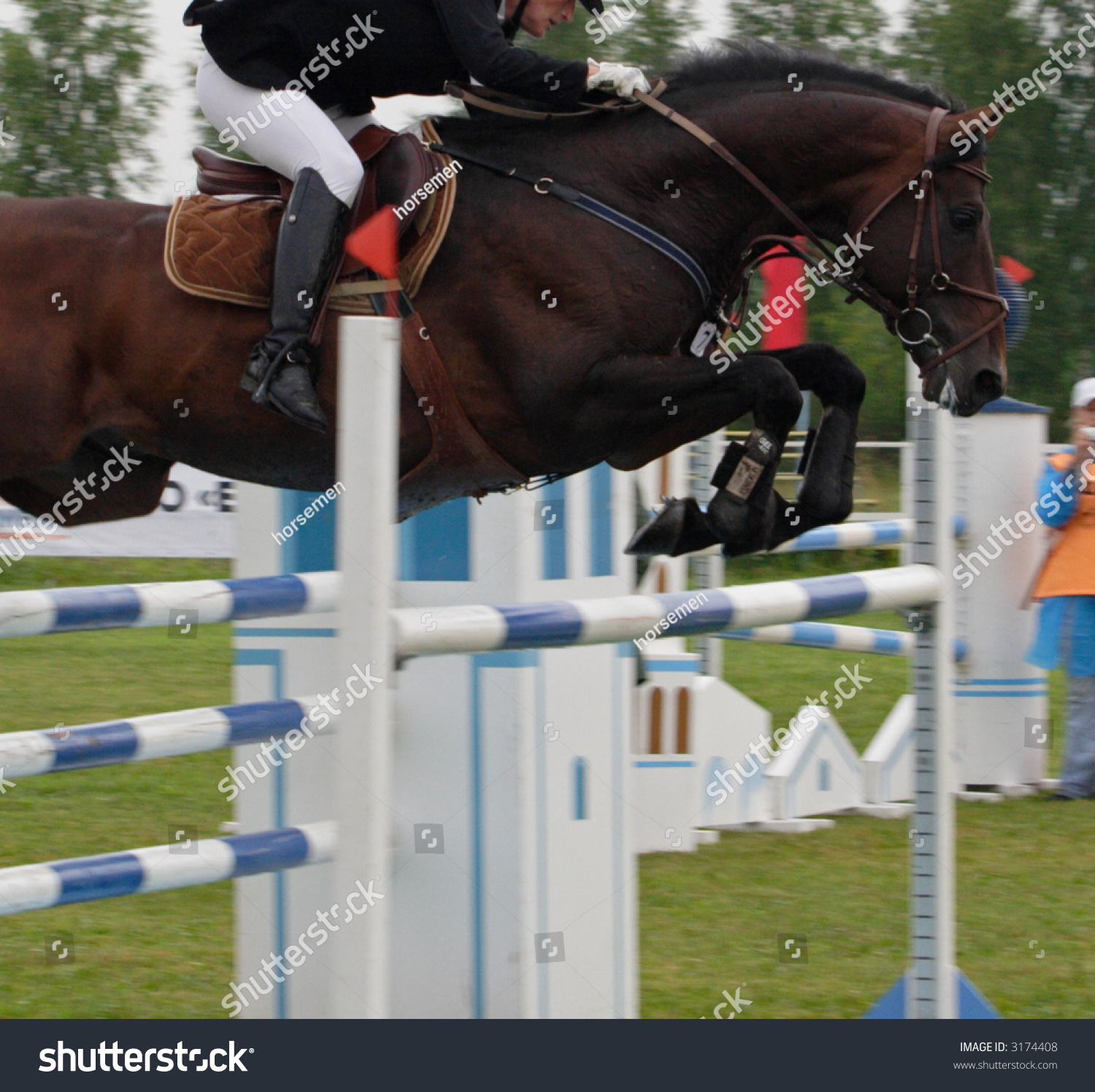 Concours Jumping Stock Photo 3174408 | Shutterstock