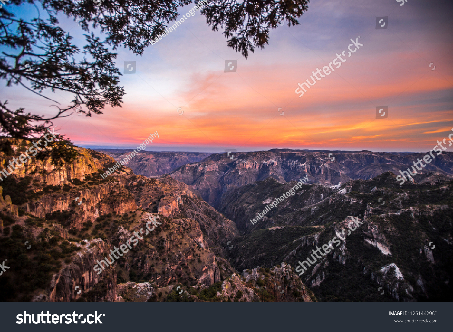 copper-canyon-images-stock-photos-vectors-shutterstock