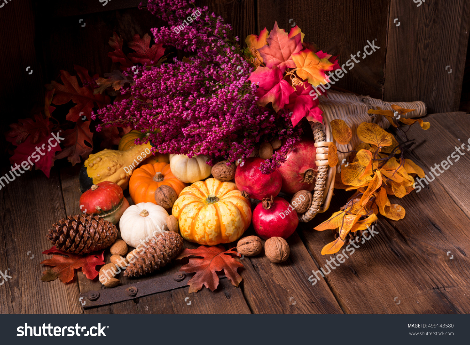 Cornucopia Stock Photo 499143580 : Shutterstock