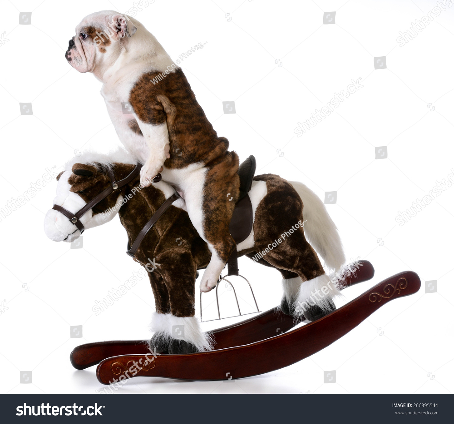 dog rocking horse