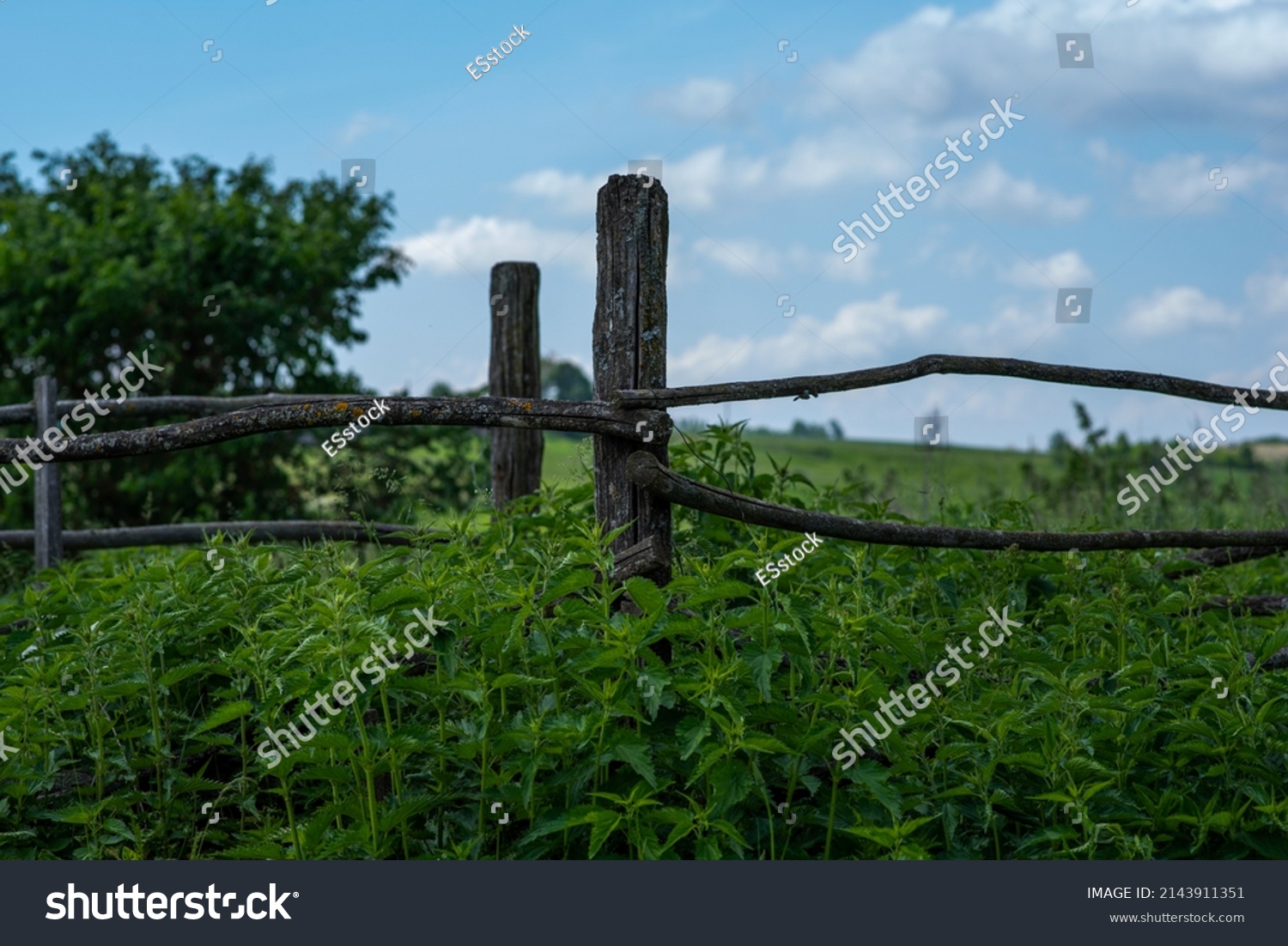 Country Timber Fence Old Wood Fence Stock Photo 2143911351 Shutterstock   Stock Photo Country Timber Fence Old Wood Fence Green Field Blue Sky And White Clouds Above Wooden Split 2143911351 