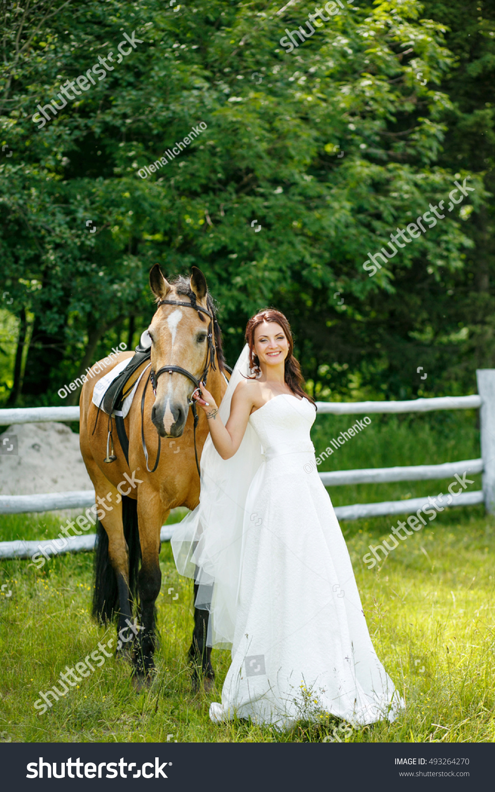 Country Wedding Bride Standing Near Horse Stock Photo Edit Now