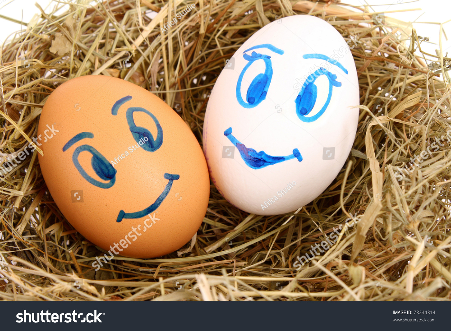 Couple Hens Eggs Faces Grassy Nest Stock Photo Royalty Free 73244314