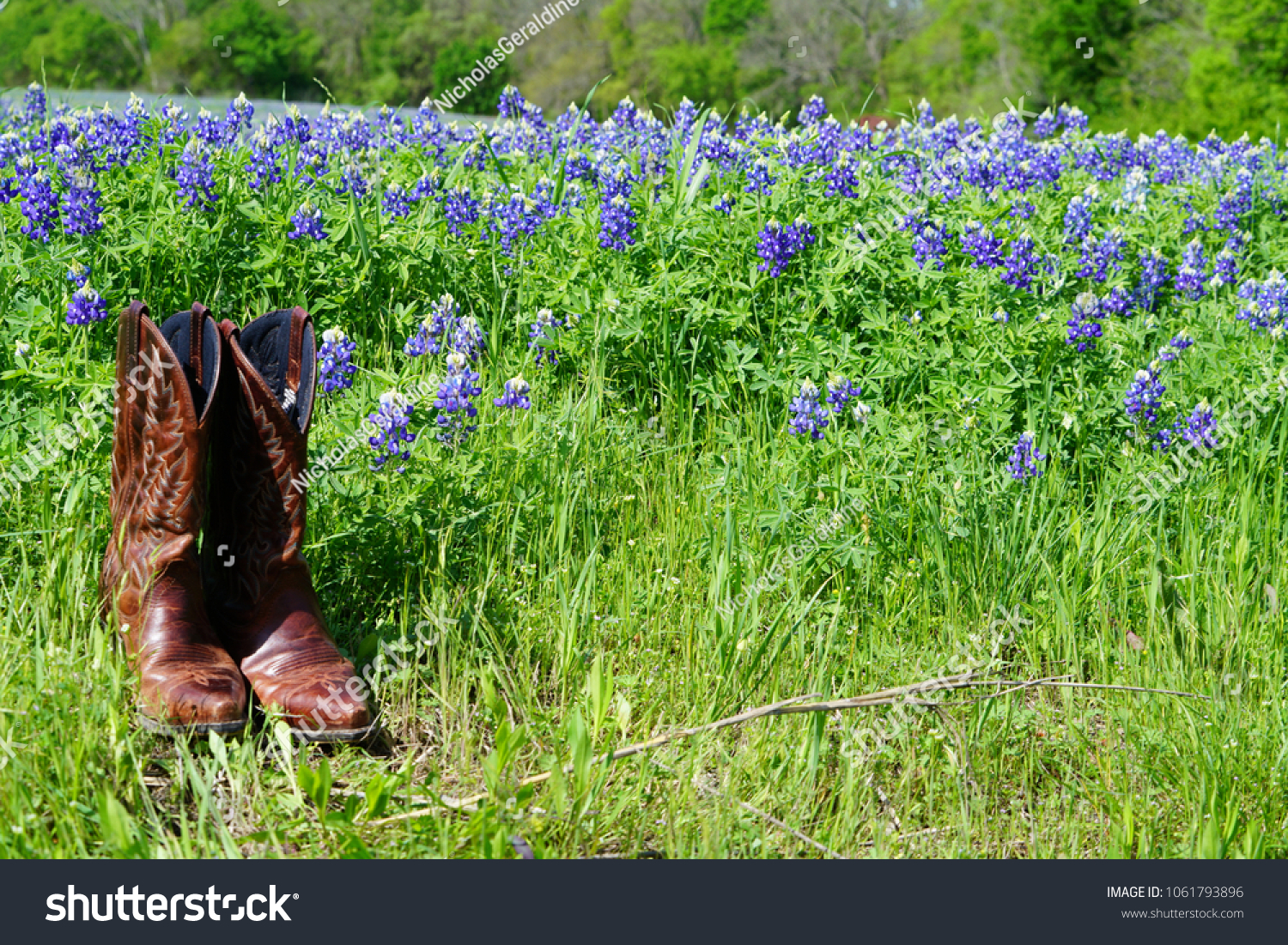 spring cowboy boots