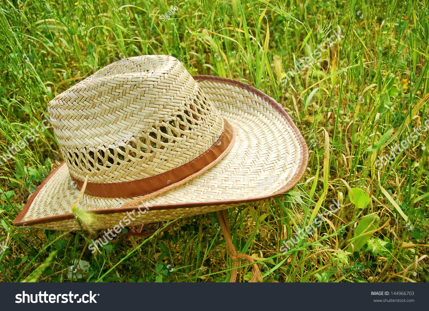 Cowboy Hat On Green Grass Stock Photo 144966703 : Shutterstock
