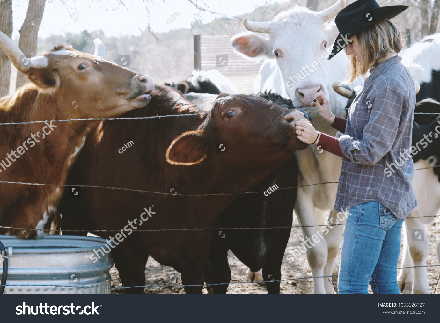 Cowgirl On Texas Ranch Feeding Pet Stock Photo Edit Now 1055626727