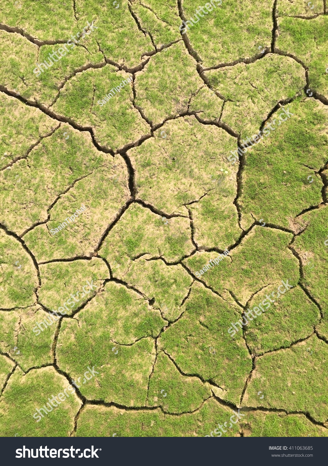 cracked-soil-ground-stock-photo-411063685-shutterstock