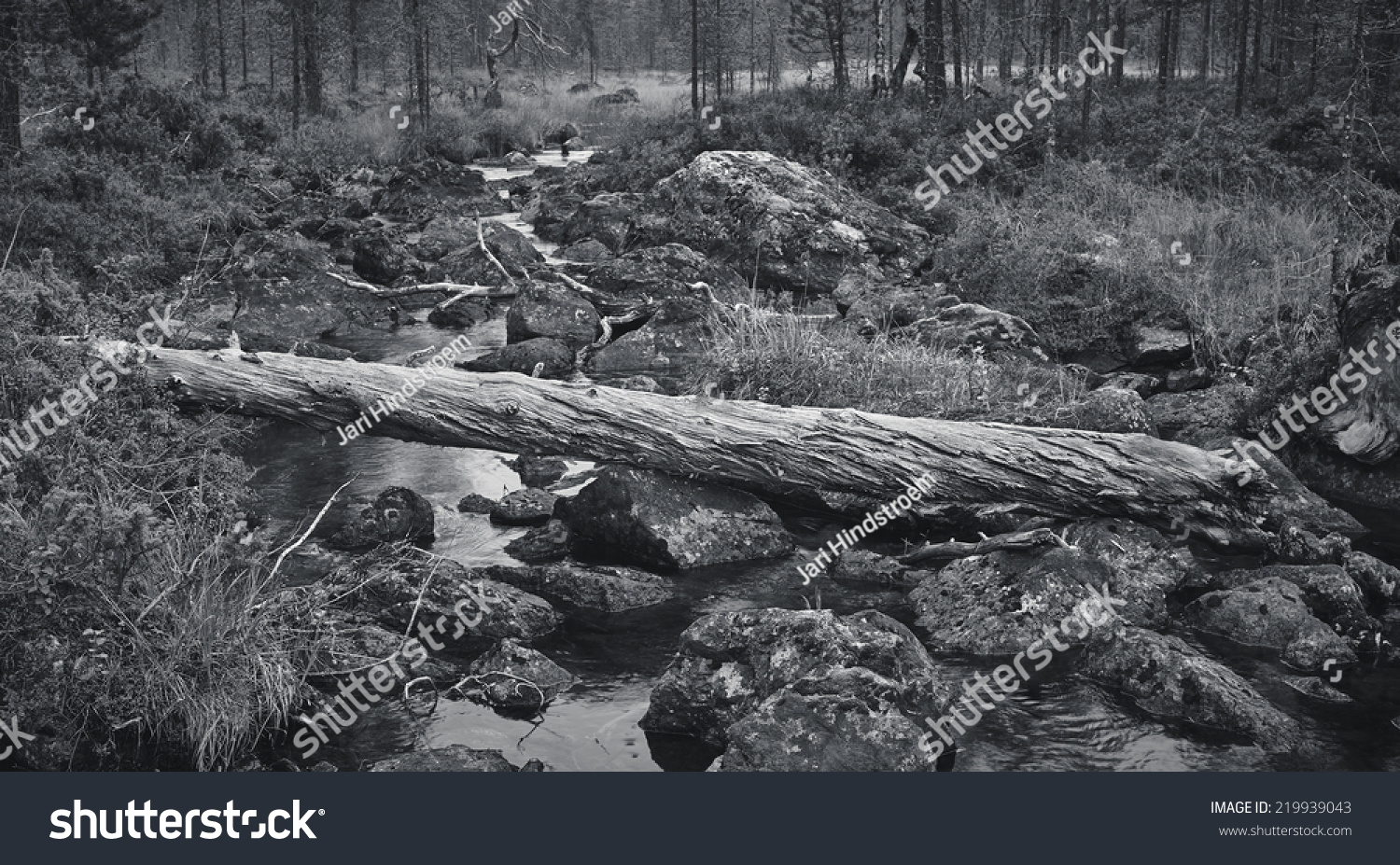 Crashed Snag River Tinted Black White Stock Photo 219939043 | Shutterstock