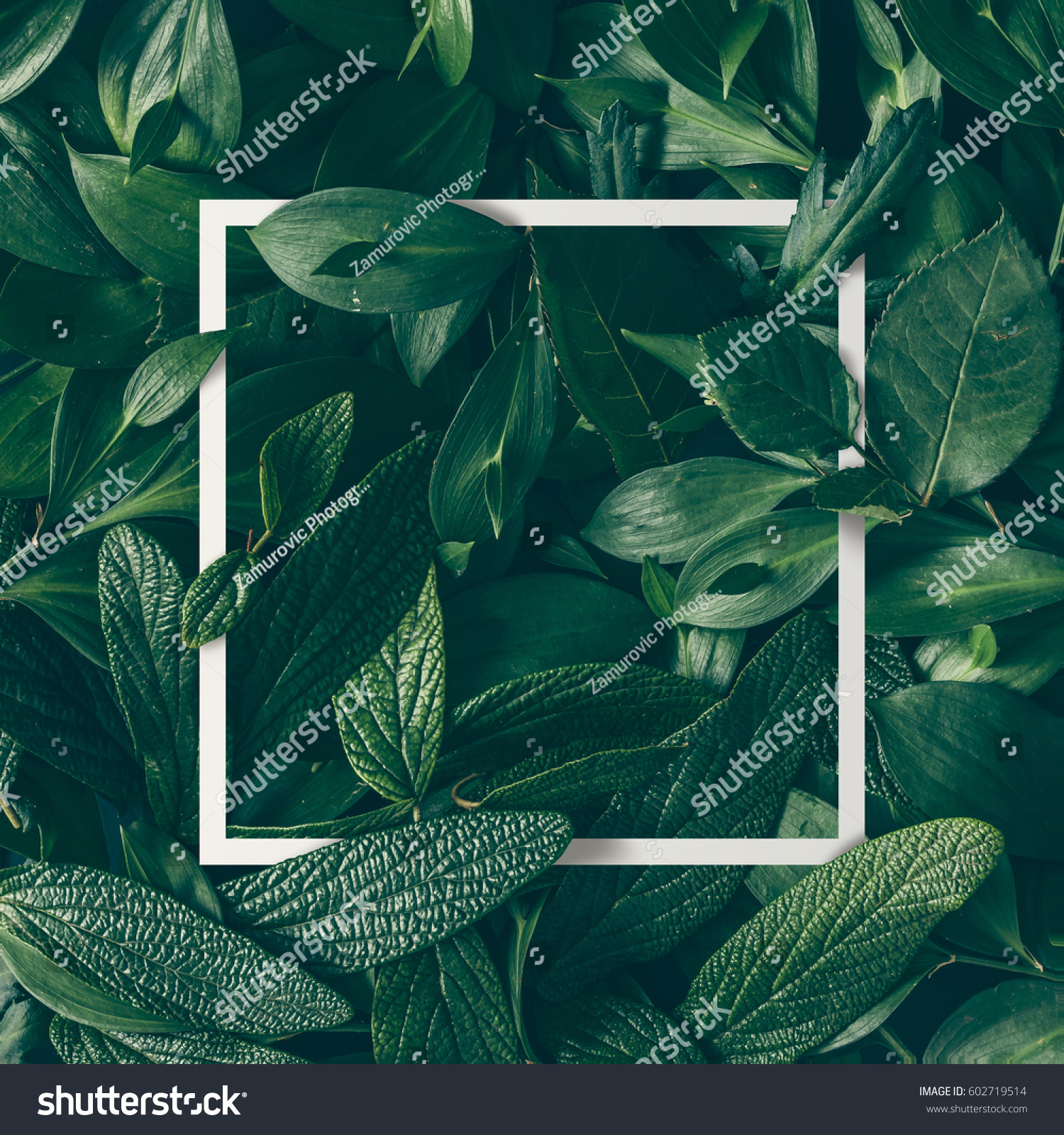 Jungle Green Color - Combinations, HEX Code - Shutterstock