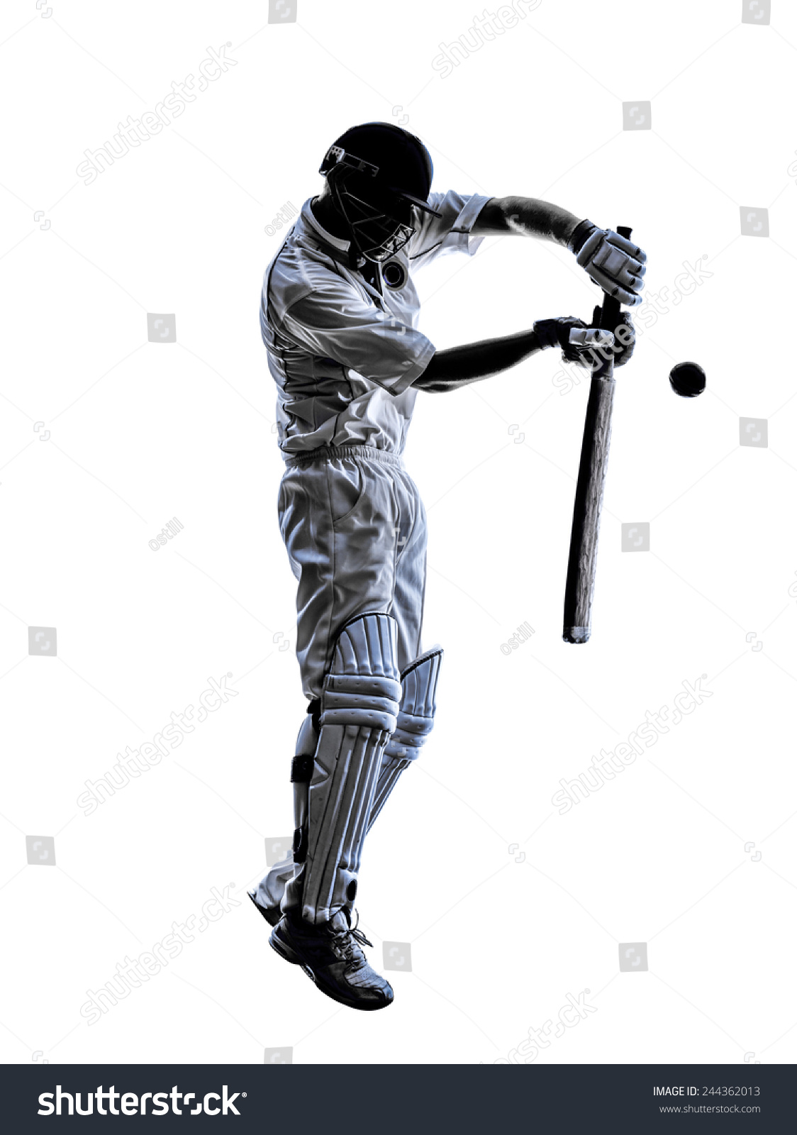 Cricket Player Batsman Silhouette Shadow On Stock Photo 244362013 ...