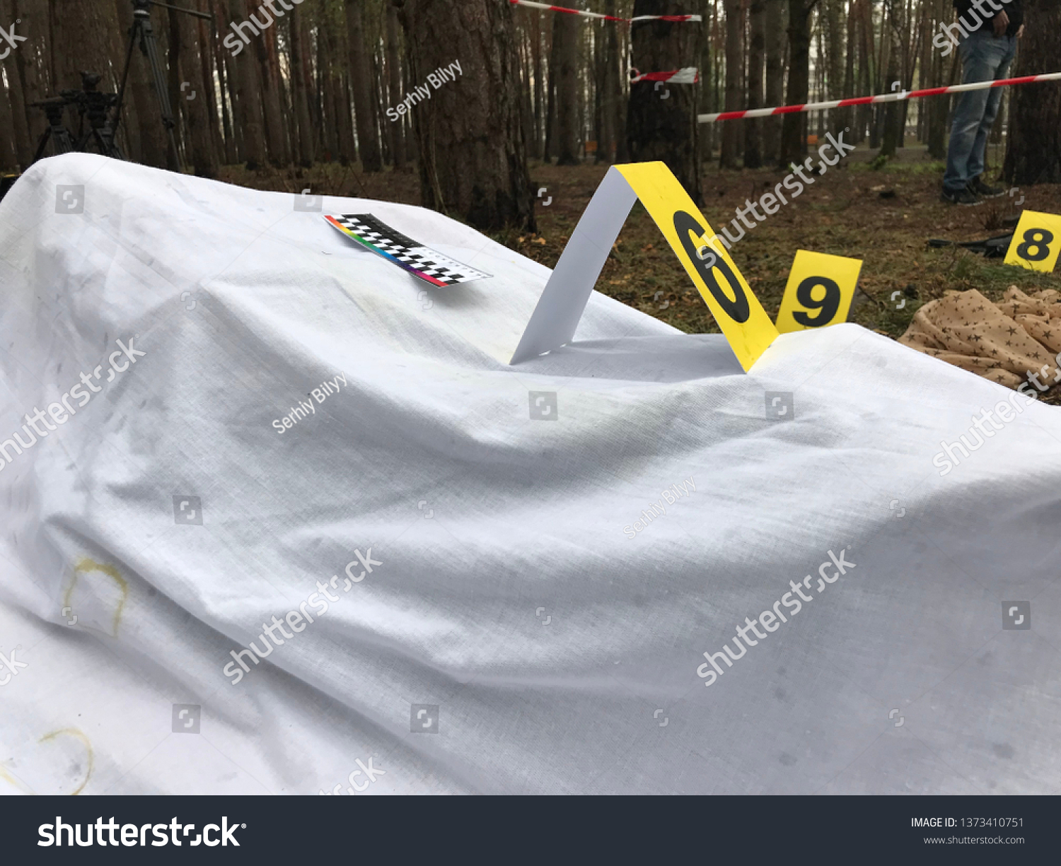 Crime Scene Reconstruction Events Criminal Investigation Foto De Stock ...