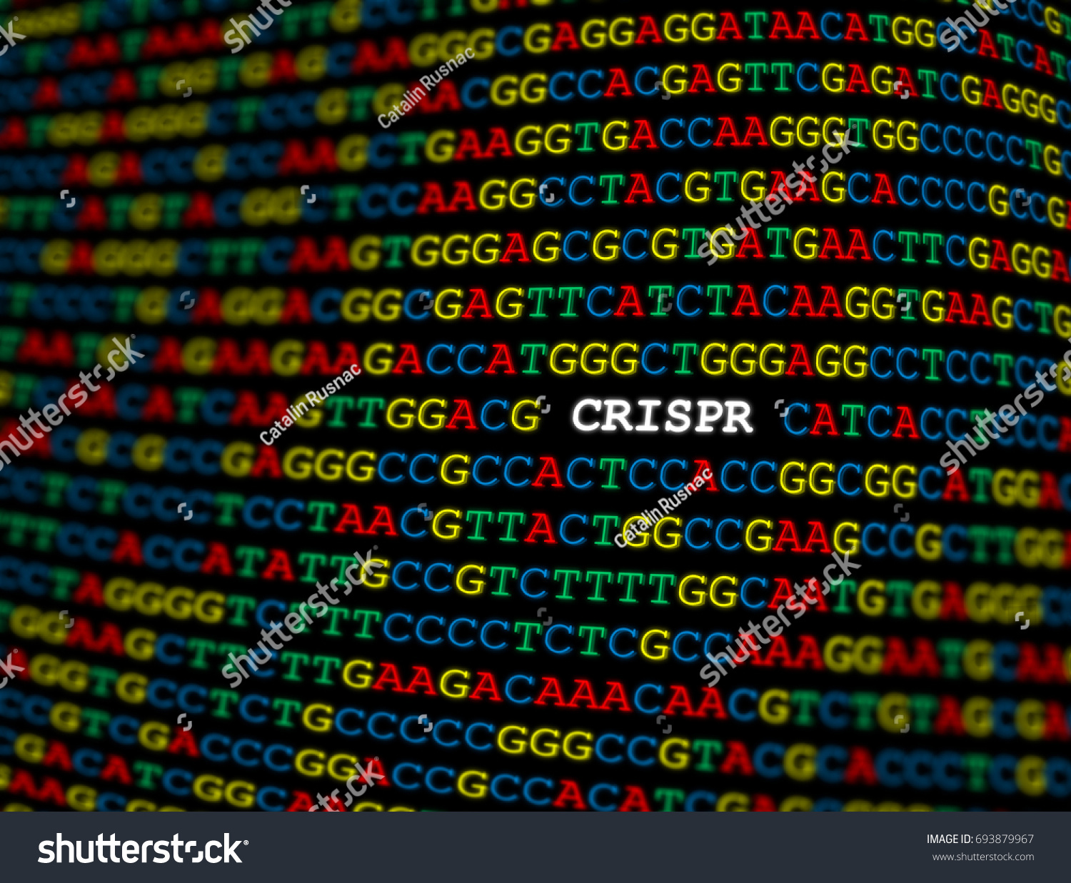 shutterstock