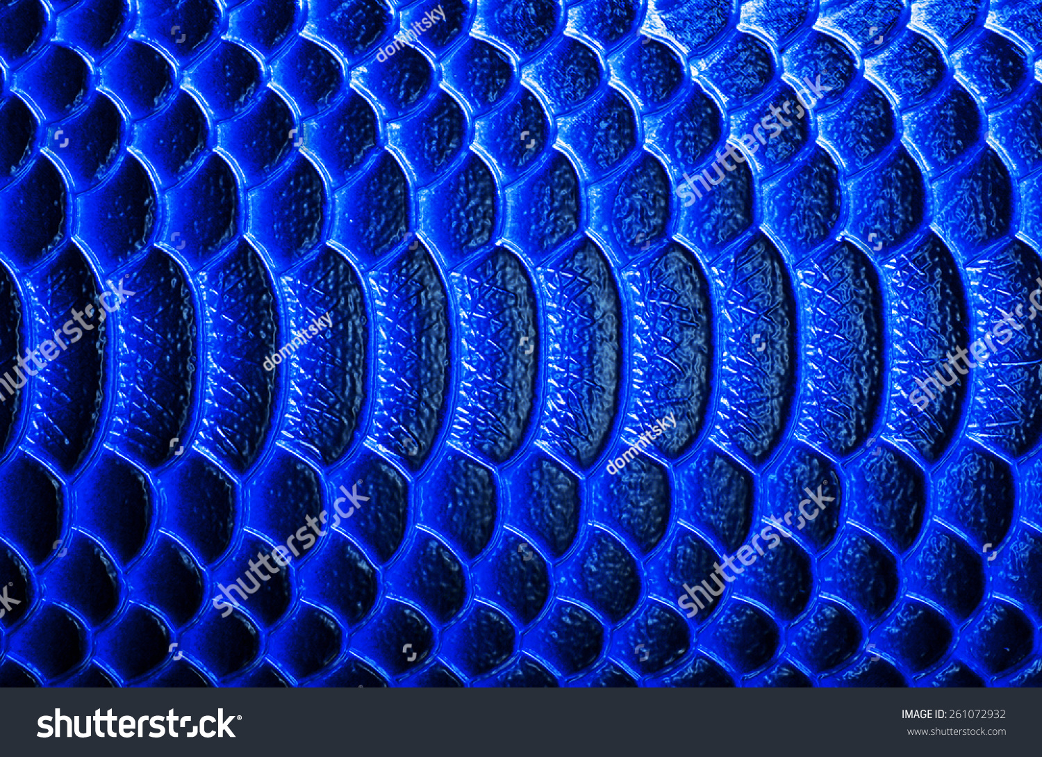 Crocodile Leather Texture Background Stock Photo 261072932 | Shutterstock