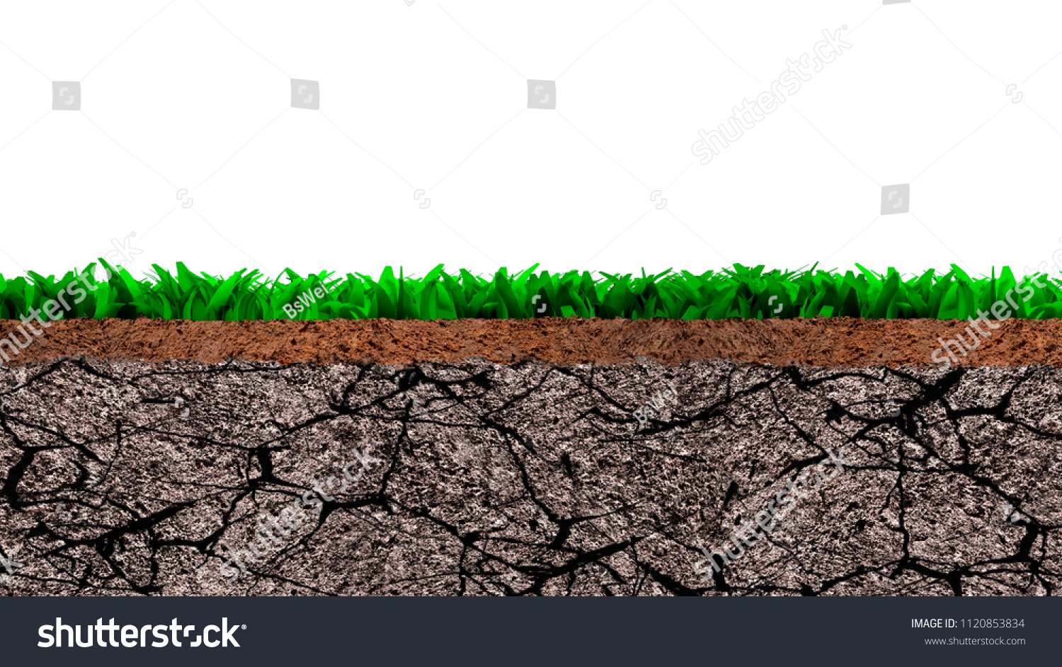 Cross Section Grass Dry Cracked Soil Stock Photo Edit Now 1120853834