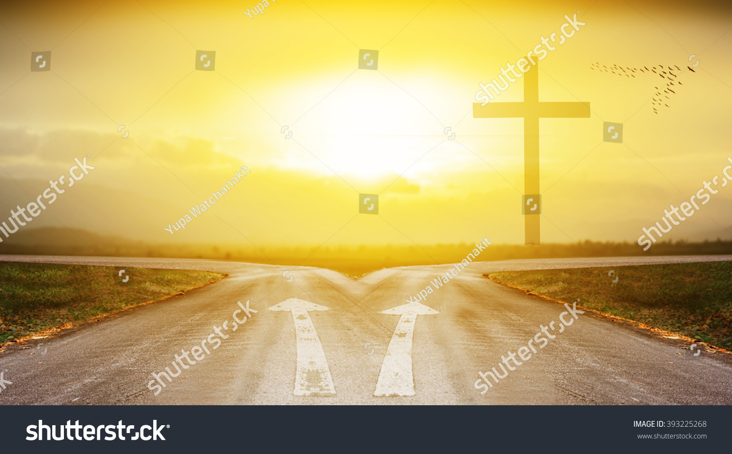 Cross Road Sunlight Background Shadow Edge Stock Photo 393225268 ...