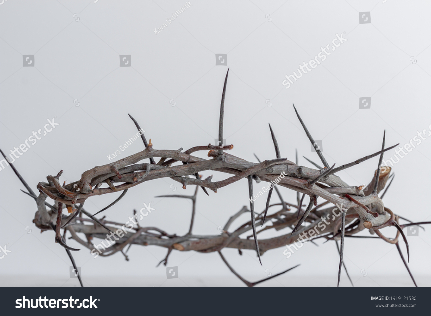 Crown Thorns Front Against White Background Stock Photo (Edit Now ...