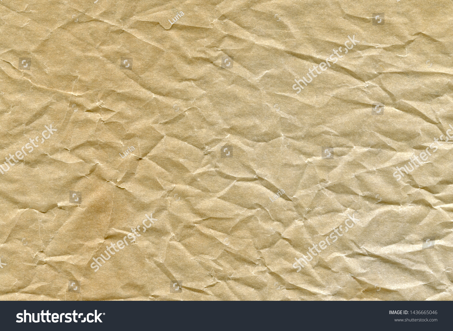 Crumpled Parchment Texture Vintage Background Stock Photo 1436665046 ...