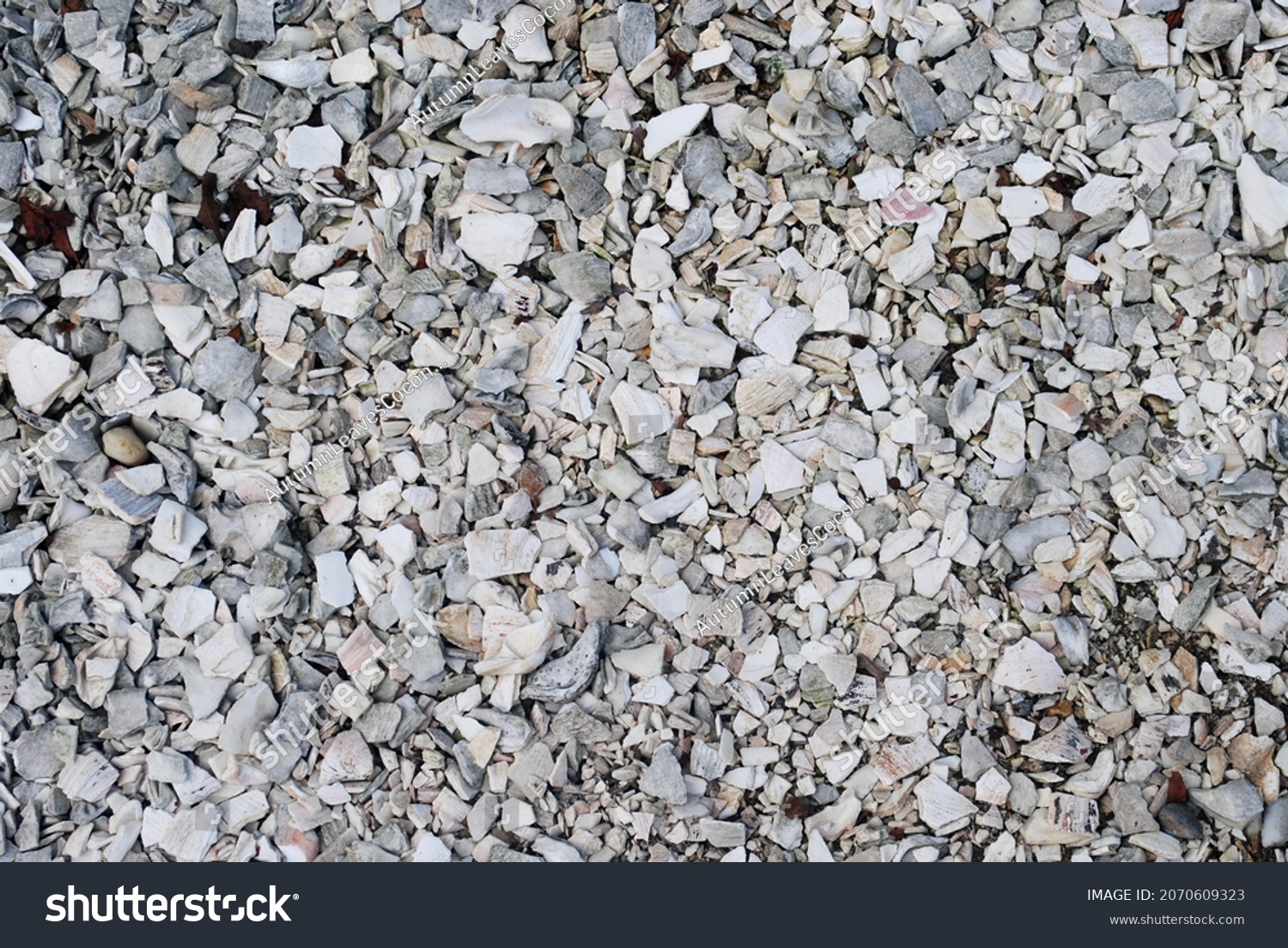 Crushed White Seashells Rocks Stock Photo 2070609323 | Shutterstock