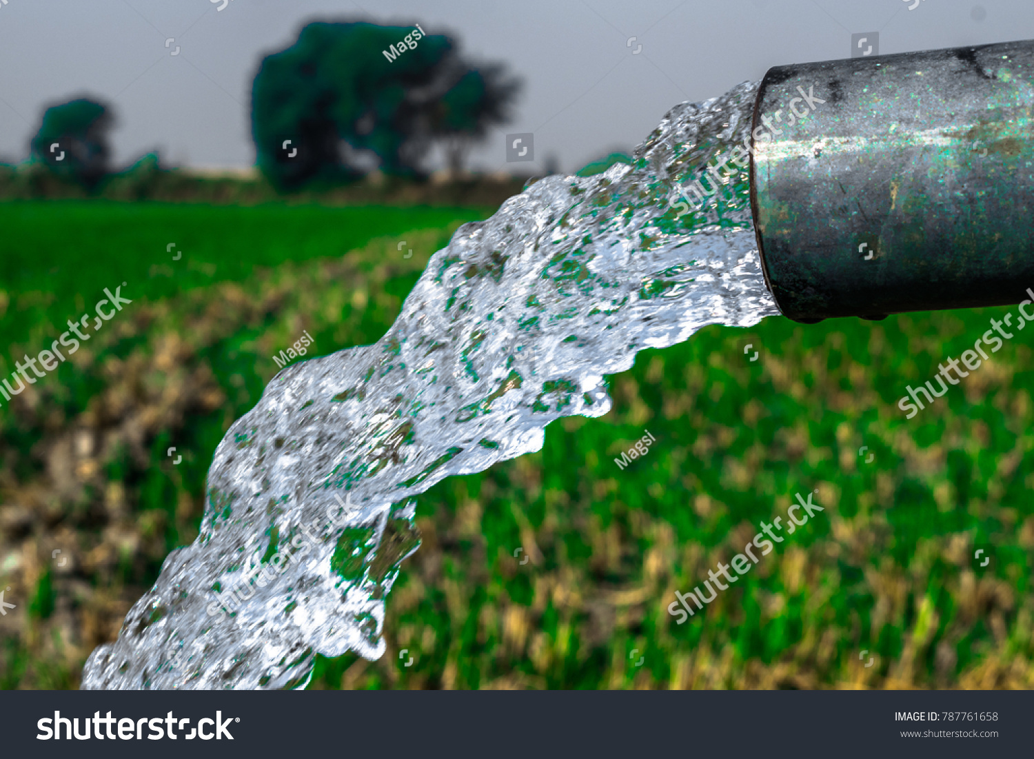crystal clear sweet and healthy water being flush out by a heavy diesel engine tube well in the wheat fields where the river water can't reach