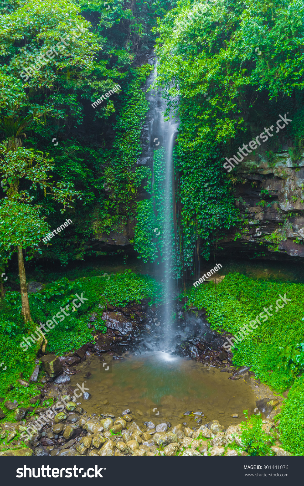 Crystal Shower Falls Dorrigo National Park Stock Photo Edit Now