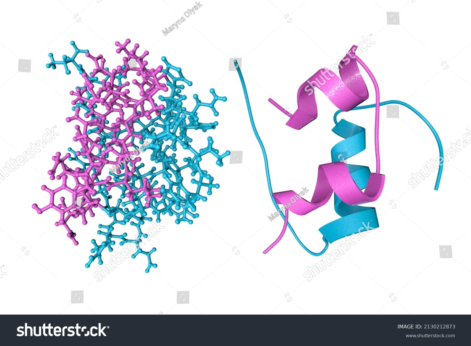 Crystal Structure Molecular Model Human Insulin Stock Illustration