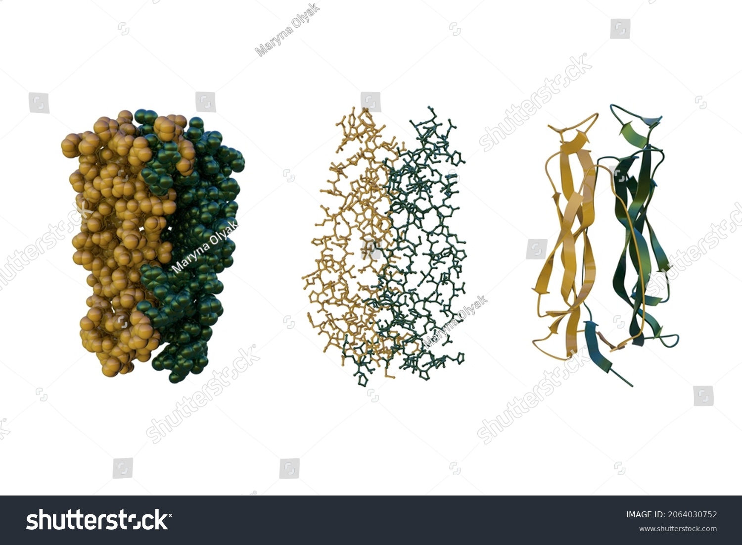 Crystal Structure Molecular Model Interleukin17a Isolated Stock ...