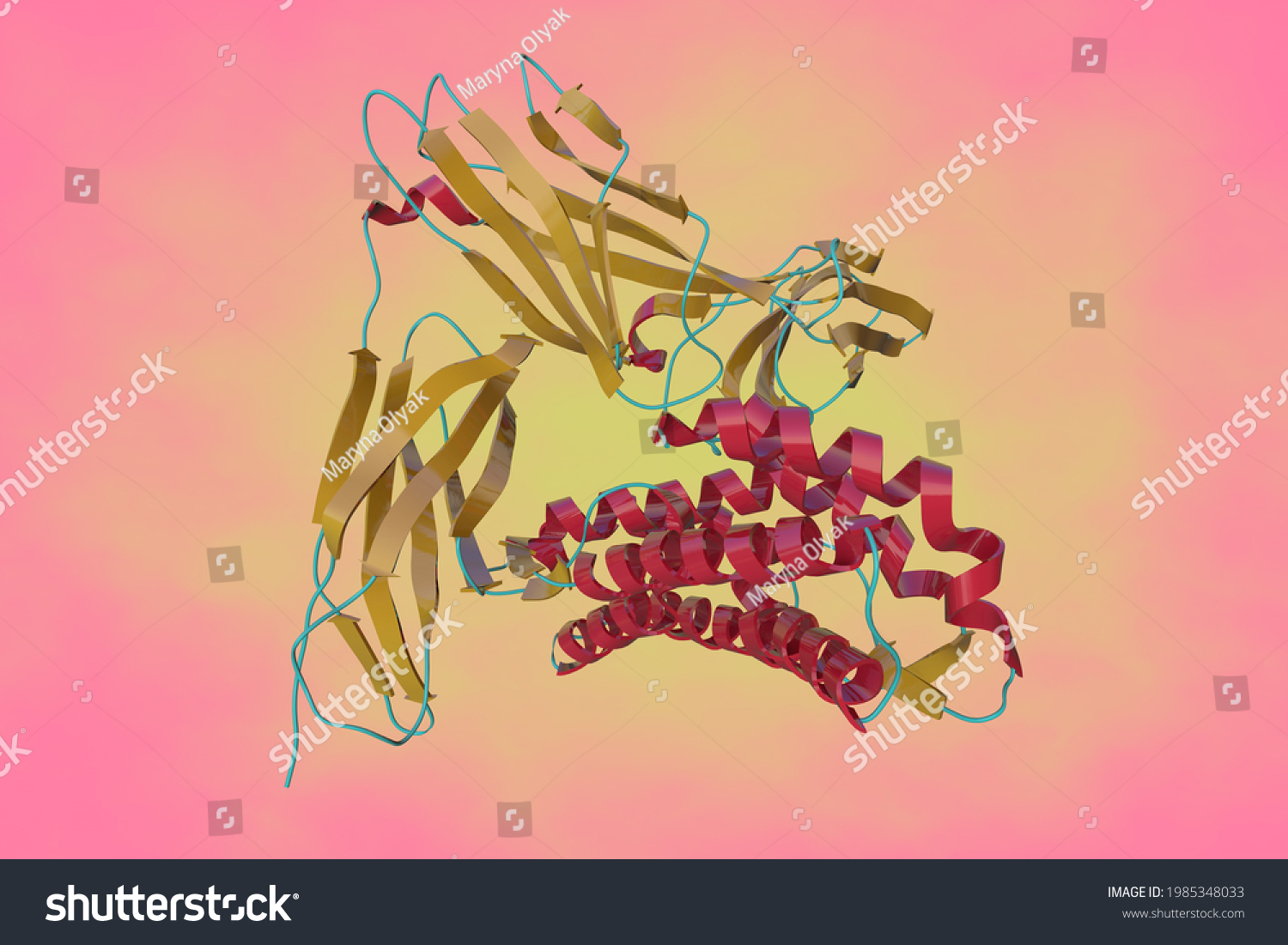 Crystal Structure Human Interleukin5 Complex Receptor Stock ...