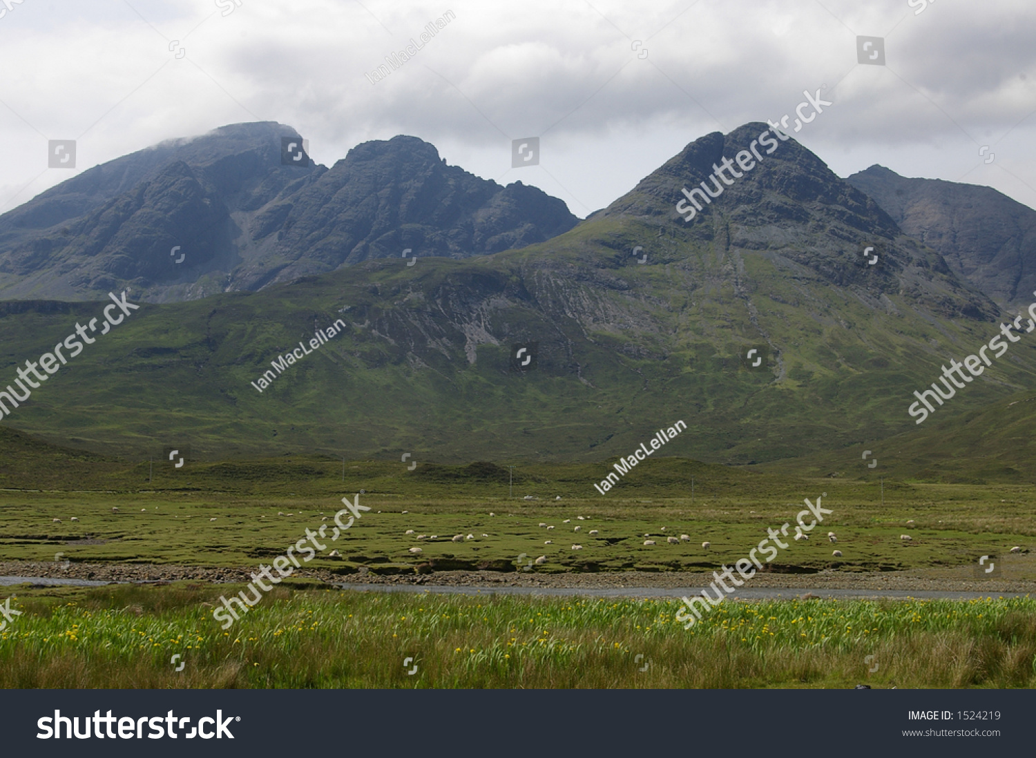 Cuillin Mountains Stock Photo 1524219 : Shutterstock