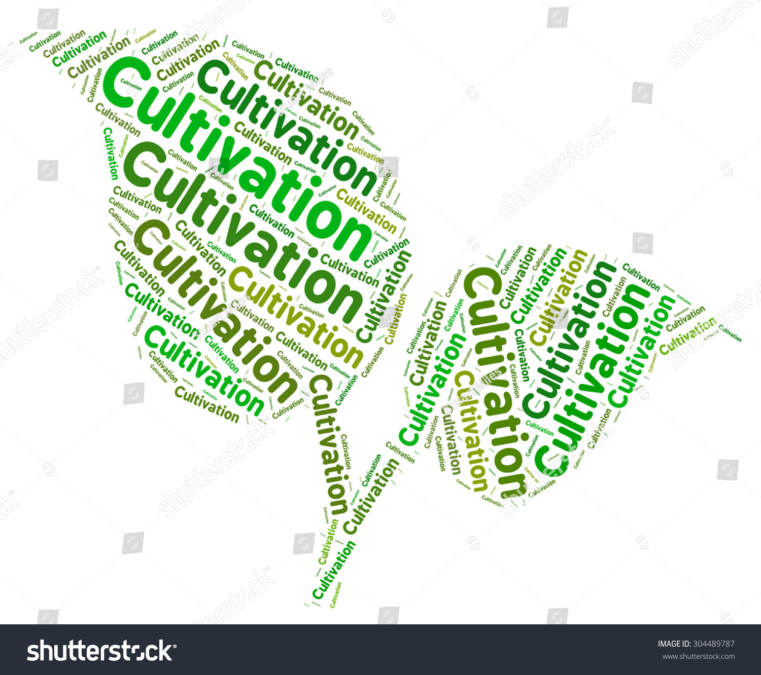 The meaning of the word grows The meaning of the word grows